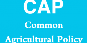 CAP - Common Agricultural Policy
