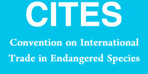 CITES - Convention on International Trade in Endangered Species