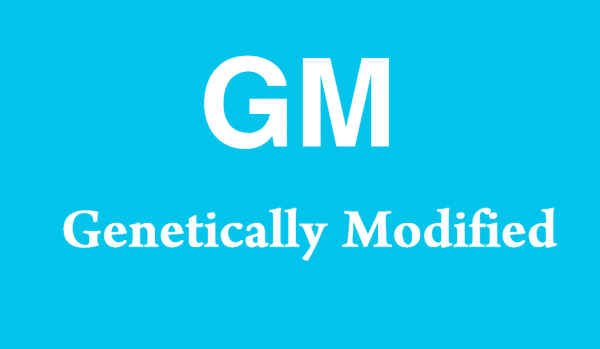 What is GM? (Genetically Modified)