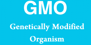 GMO - Genetically Modified Organism