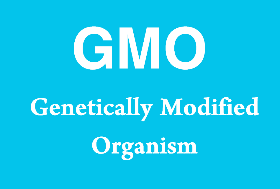 GMO - Genetically Modified Organism