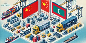 Products Imported from China to Maldives