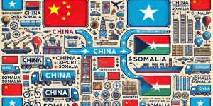 Products Imported from China to Somalia